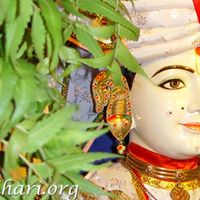 Dhara Patel Photo 7