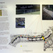 Mark Kempen Photo 18