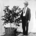 Herbert Lemon Photo 11