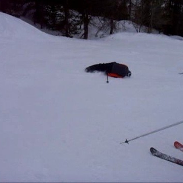 Andrew Burch Photo 15