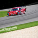 Daniel Fogarty Photo 43