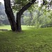 Lawrence Locke Photo 24