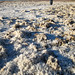 Erica Valley Photo 15
