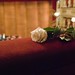 Rosa Scala Photo 18