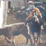 Alfredo Sandoval Photo 27