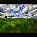 Gordon Green Photo 40