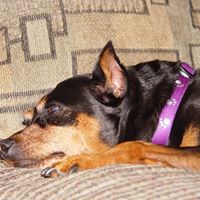 Bonnie Darrow Photo 1