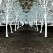David Lofstrom Photo 1
