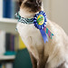 Otis Hope Photo 11