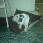 Gary Staats Photo 16