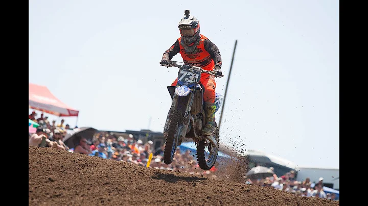 Steve Roman Photo 34