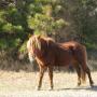 Terry Beach Photo 21