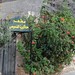 Mohammed Taleb Photo 34