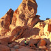 Donna Valley Photo 6