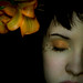 Sherri Flowers Photo 29