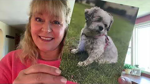 Lynn Schreiner Photo 17