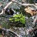Tim Moss Photo 36
