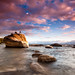 Wade Davenport Photo 24