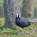 Sean Coots Photo 14