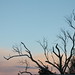 Gary Tarbox Photo 12