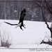 Daryl Wells Photo 37