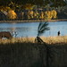 Scott Estes Photo 41