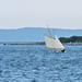 Elizabeth Gaff Photo 17