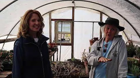 Shirley Kelley Photo 34