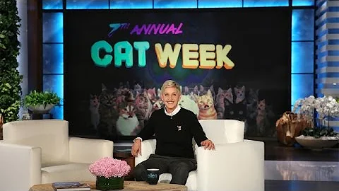Ellen Kats Photo 15