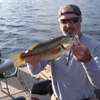 Kenneth Schaefer Photo 8