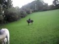 Brandy Tubby Photo 8