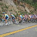 Adam Farrar Photo 42