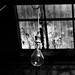 Arthur Light Photo 12