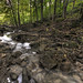 George Peixoto Photo 14