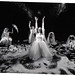 Kim Root Photo 35