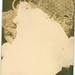 Ellen Foust Photo 21