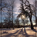 Daryl Winter Photo 19