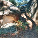 Glen Bush Photo 27