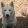 Gail Watts Photo 24