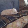 Patricia Pappas Photo 3
