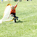 Todd Hawks Photo 22