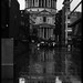 Paul Driscoll Photo 46