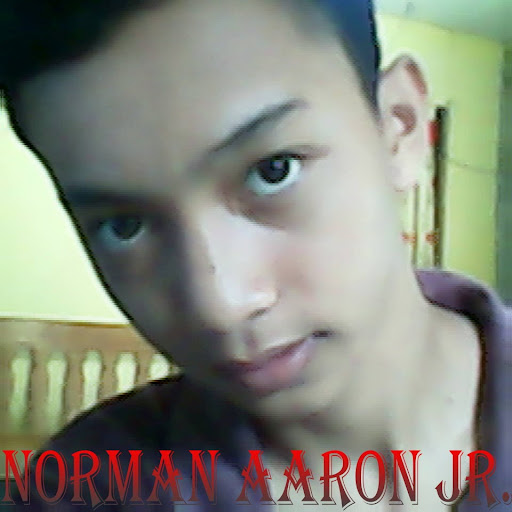 Norman Aaron Photo 3
