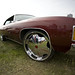 Kevin Meara Photo 17