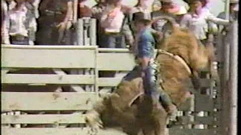 Cody Snyder Photo 44
