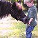 Debi Fitzgerald Photo 24