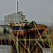 Anne Coady Photo 17