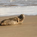 Donna Lovell Photo 30