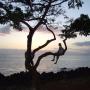 John Lindquist Photo 28