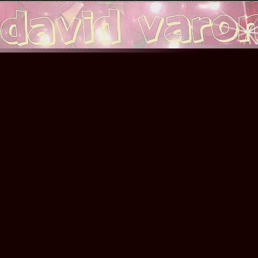 David Varon Photo 14